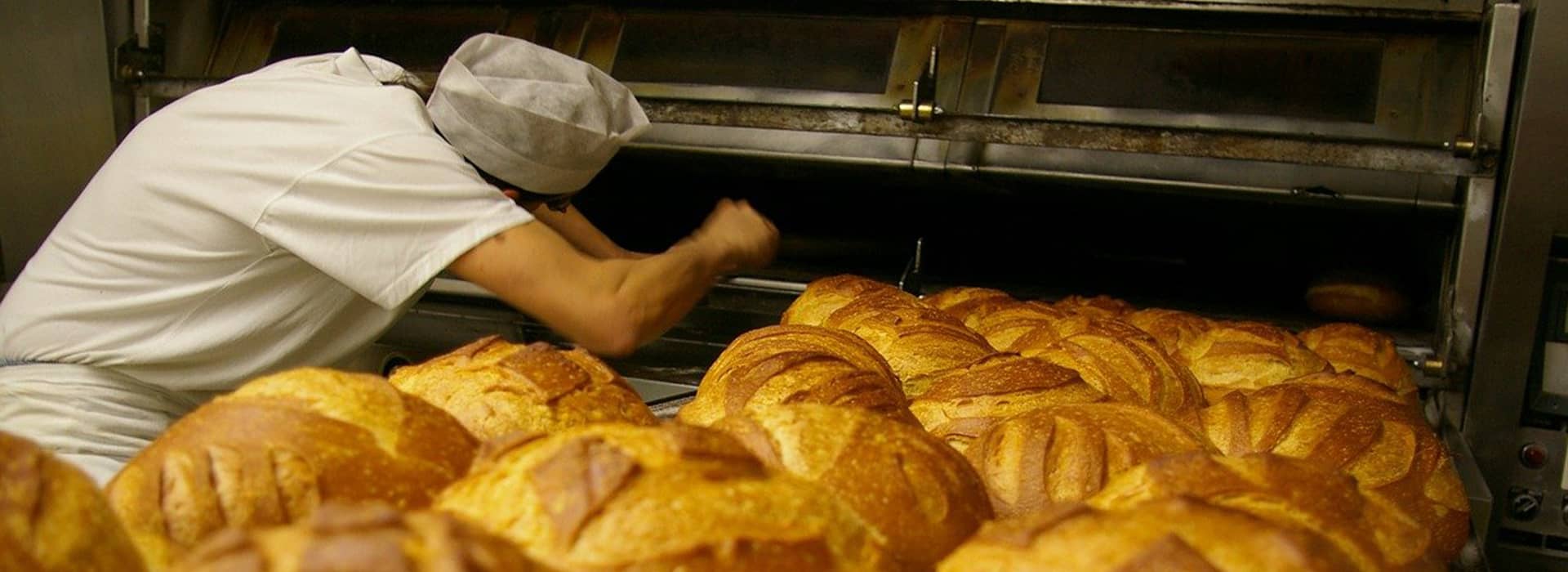 Sector Industrial de panadería