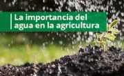 la-importancia-del-agua-en-la-agricultura
