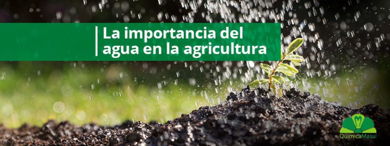 Agosto 20 2022 Agricultura No Hay Comentarios