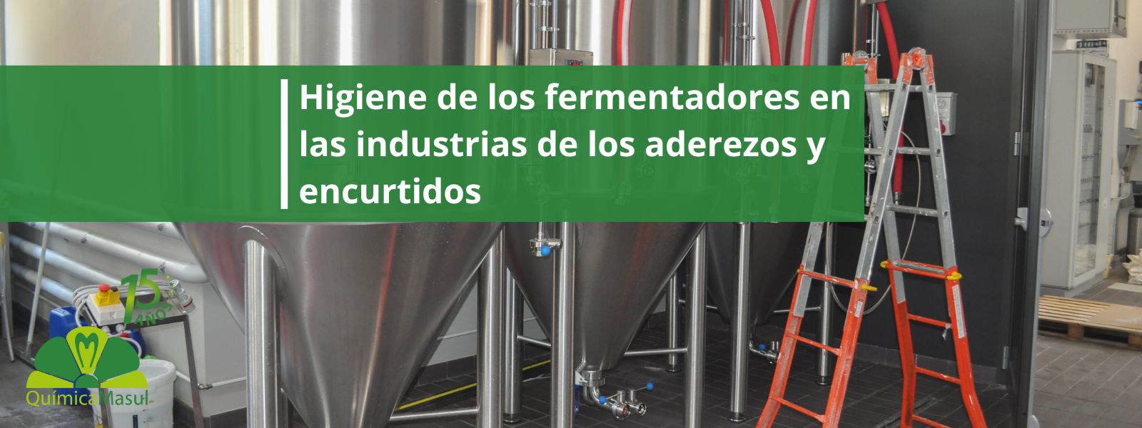 higiene-de-los-fermentadores-en-las-industrias-de-los-aderezos-y-encurtidos
