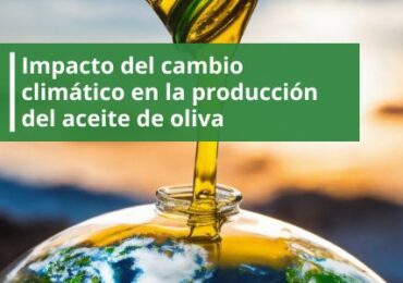 Impacto del cambio climático en la producción de aceite de oliva