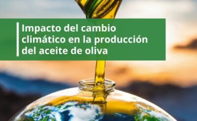 impacto-del-cambio-climatico-en-la-produccion-de-aceite-de-oliva