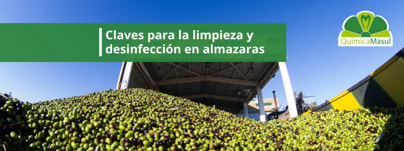claves-para-la-limpieza-y-desinfeccion-en-almazaras