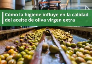 Cómo la higiene influye en la calidad del aceite de oliva virgen extra