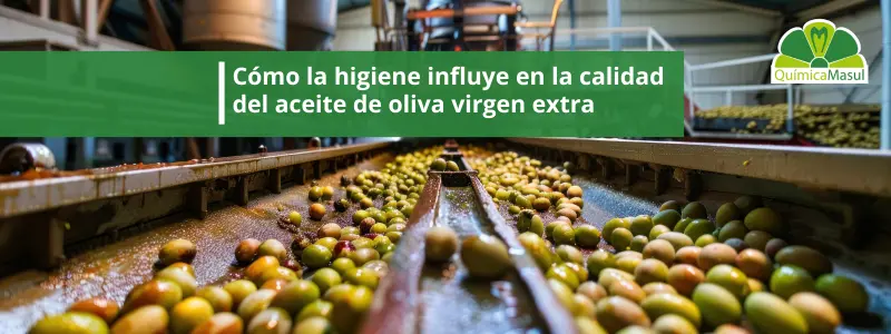 higiene-calidad-aceite-oliva