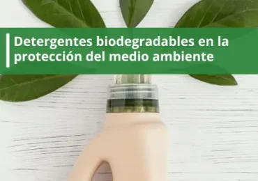 Detergentes biodegradables en la protección del medio ambiente