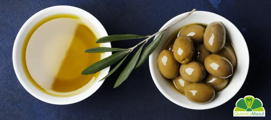 protocolos-almazara-limpieza-navidad