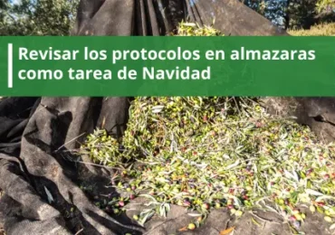 Revisar los protocolos en almazaras como tarea de Navidad