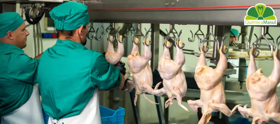 higiene-industria-carnica-1